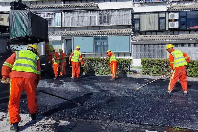 黑路面+银杏道！大凤路景区段绿美“上新”