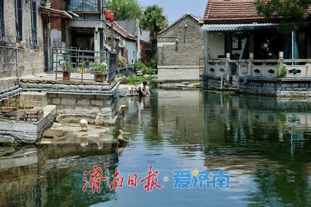 一年四季 泉在济南｜天光云影入泉来 王府池子展神韵