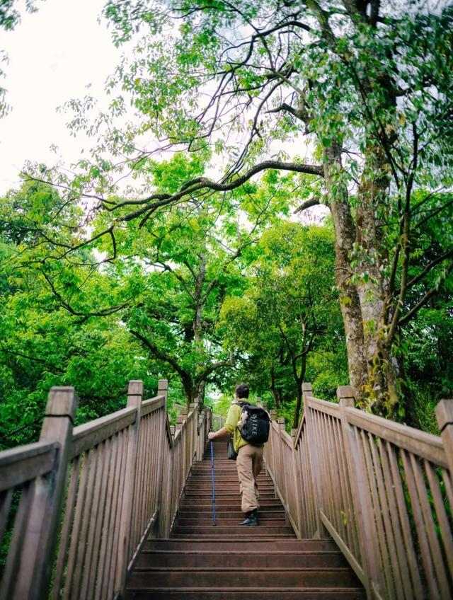 瓦屋山【夏日特惠套票】限时开抢啦！