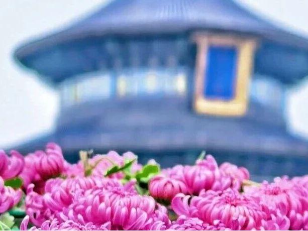 北京日报社区小板报 | 今又重阳！“福利”不重样——