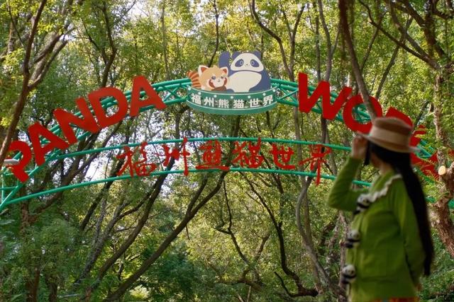 欢迎来到熊猫的家！保姆级攻略请收好！