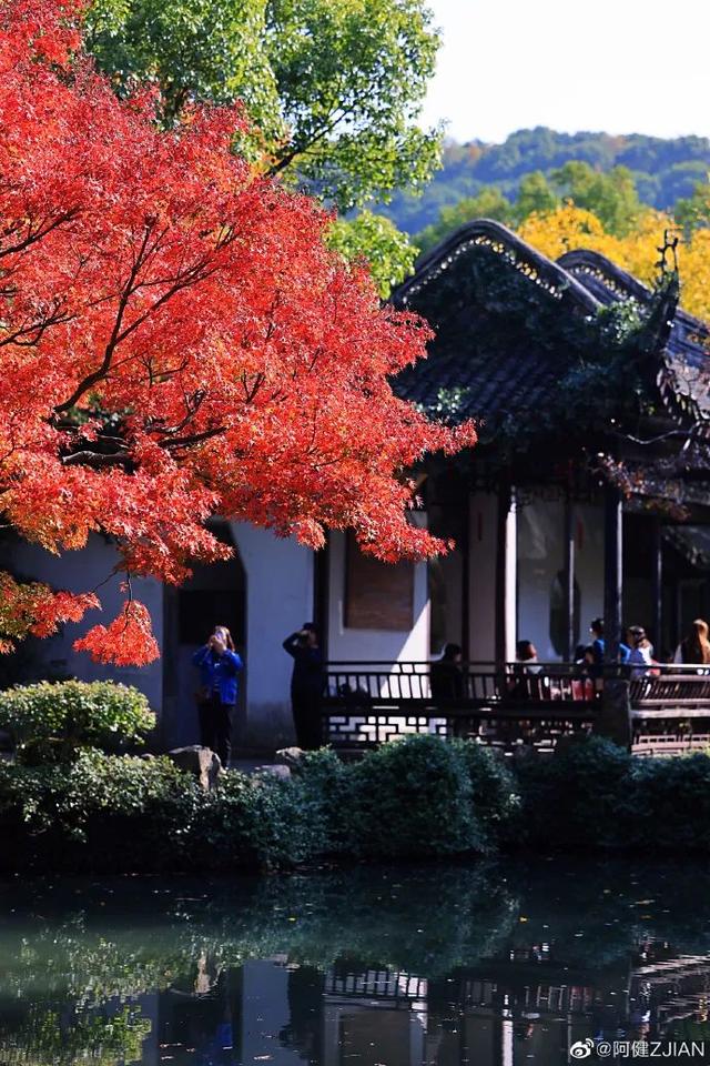 再 致 盐 城