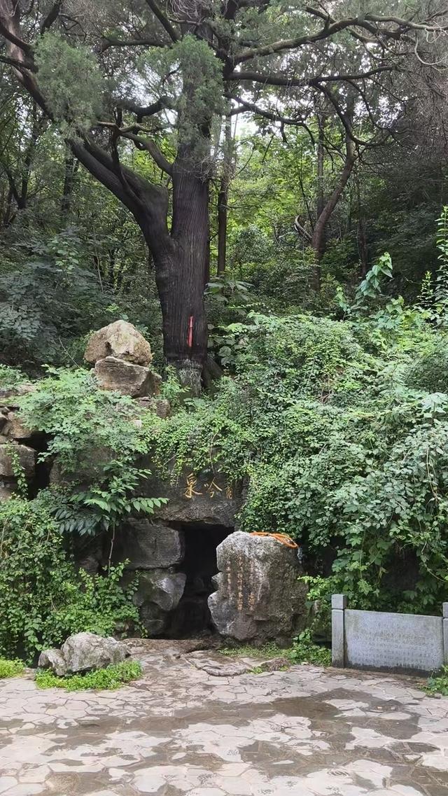 周末游西营主题线路：寻泉访古游