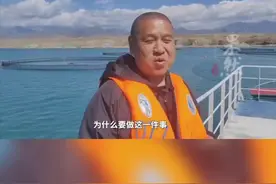 记者实探新疆三文鱼生产、养殖情况 生产商：有了国产三文鱼之后，对市场价格起到了牵制作用图片
