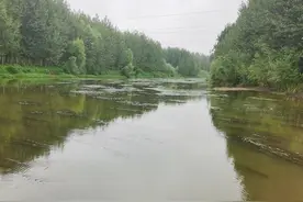河上建起拦水坝，良田“解渴”产量丰图片