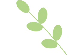 “野春菜”登场 这份“打野须知”请收下图片