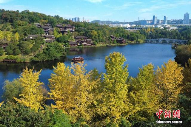 大自然的冬日画作 重庆园博园色彩斑斓美如画