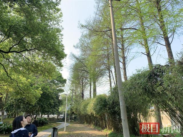 废弃加油站变绿色驿站   武汉一公园成市民“自然课堂”