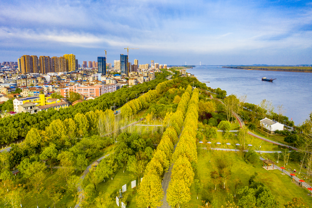 来洪湖，“藕”遇千年秋色！