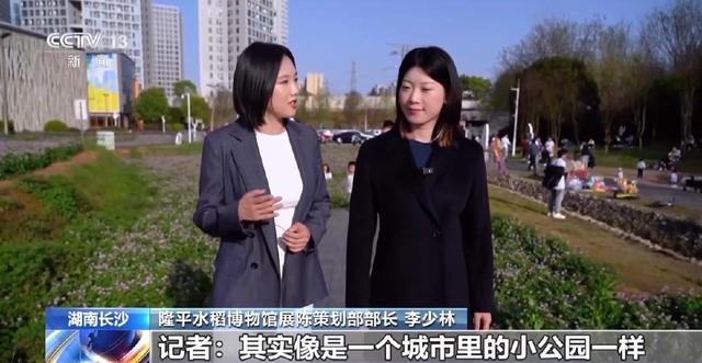 融合生态景观、地域文化等 这些地铁站实现出入即赏景