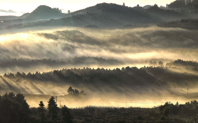 云新闻关注丨诗意旅居，云岭初冬氛围感超绝！