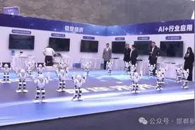 【新闻特写】 “AI邯郸生活节”让人工智能走近群众身边图片