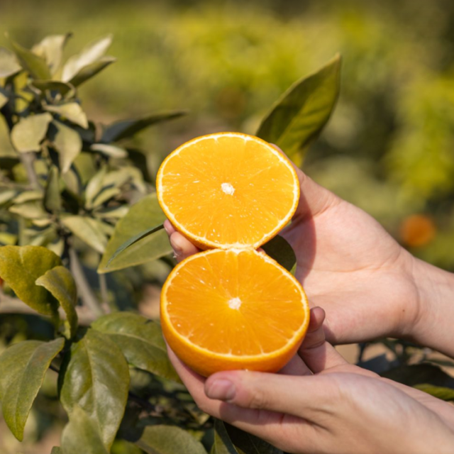 溧水赏秋指南，这周末就出发！