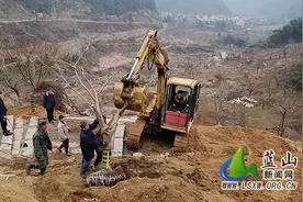 蓝山：春日植树添新绿 红枫扮靓蓝山谷图片