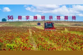 数智化豫起行︱小辣椒搭乘“5G快车” 河南移动数智绘就丰收新图景图片