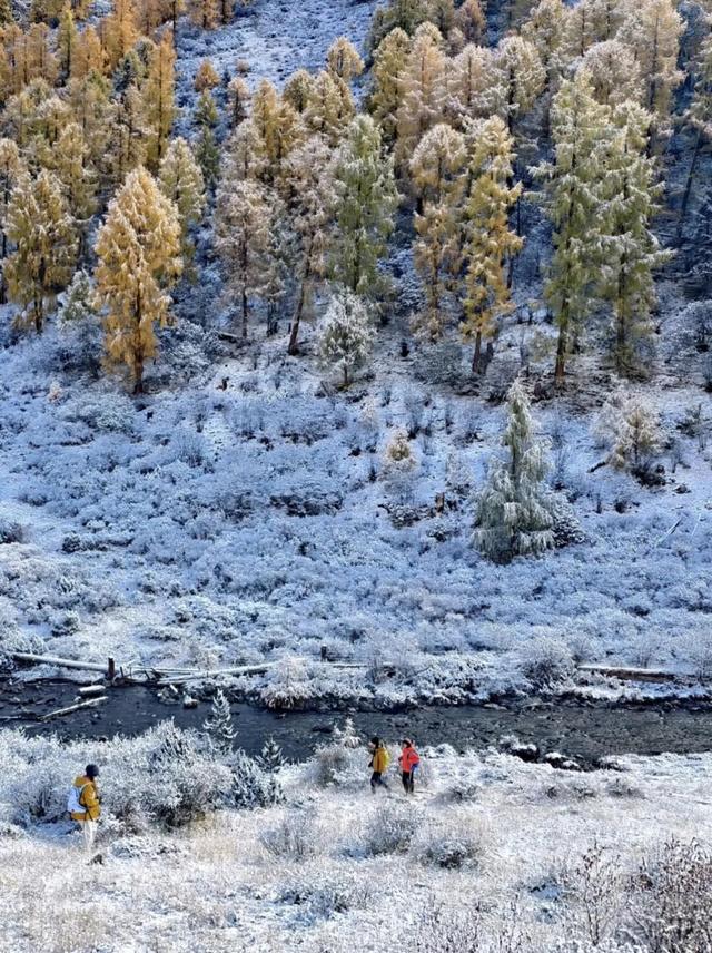 今日多地下雪！冰雪世界的川西正式上线