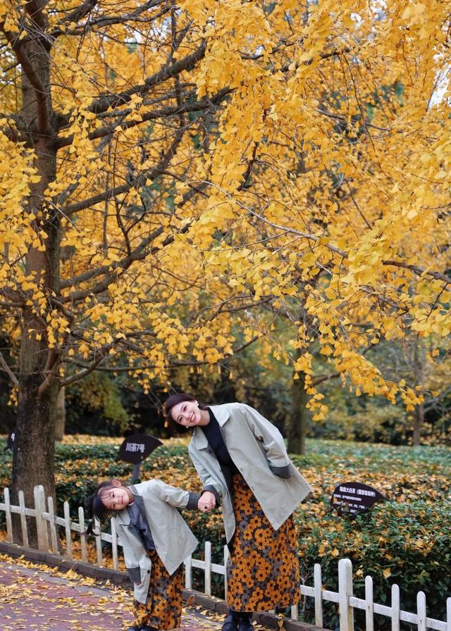 茶山美宿，安逸悠闲的秋假攻略请收好~