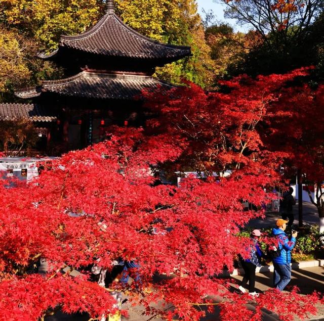 老广们！即刻出发“朗京嘿哈山”啦～
