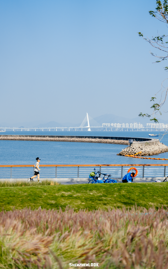 “看牛看海看夜景，深圳骑行路线精选”