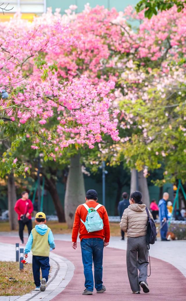 我愿意为了这道色彩，来越秀N次