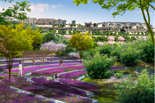 期待！重庆将新增一个湿地公园，开放时间→