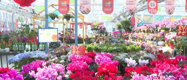 “铁路+”“古镇+”各地文旅新场景新业态“多点开花”引爆消费热情