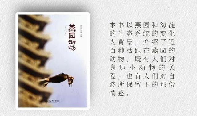 北京大学参观攻略，不懂这些等于白来