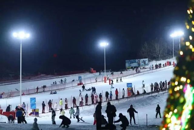 鸥遇青岛 温泉暖冬！青岛冬日暖经济火力全开！