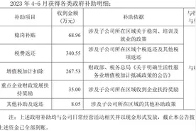 我爱我家控股集团股份有限公司及子公司获得政府补助720万元图片