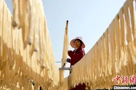 （乡村行·看振兴）江西吉水勾勒现代农业“新画卷”图片