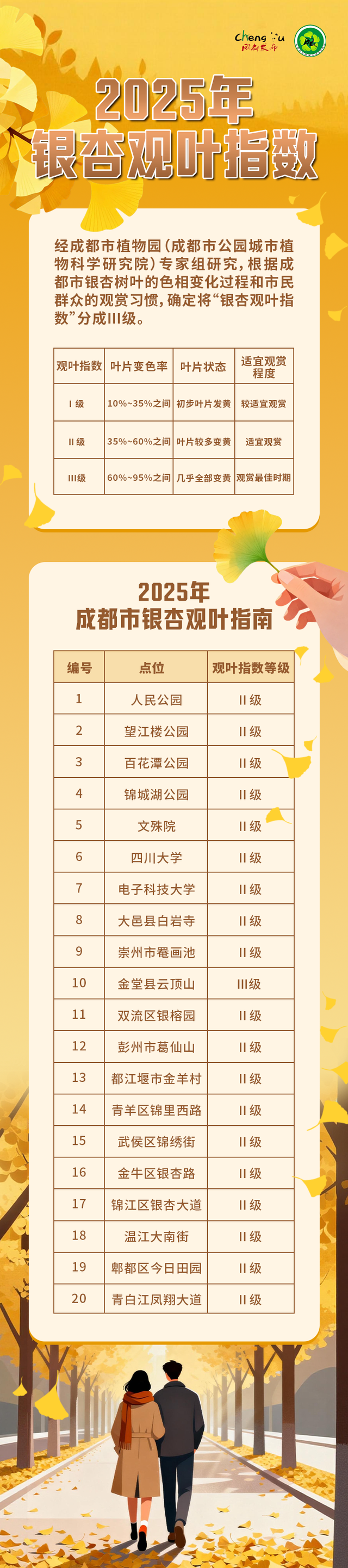 一年一度朋友圈银杏比美时刻，又！来！了！