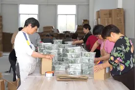 10万盒蚕宝宝发往全国各地！海宁小乡村火了图片