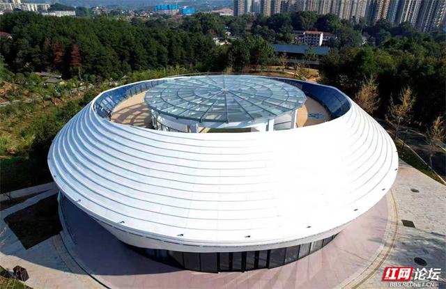秋游时刻丨怀化迎丰公园藏了个“植物宝藏地”，爱好者速来