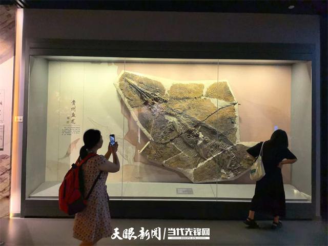 日均接待游客破万人次！贵州省地质博物馆暑期研学游火爆