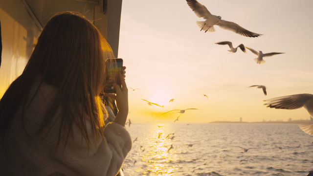 青岛海上旅游按下“加速键”