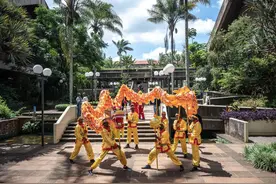 我在现场·照片背后的故事丨热土之上，生机勃发，孕育发展与希望图片