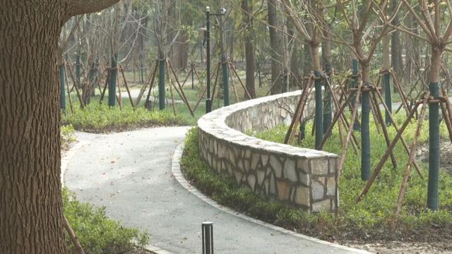 二期开放！未来有民宿、露营区、水上游乐设施