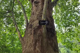 扫一扫！贵阳阿哈湖国家湿地公园的动植物有了“身份卡”图片