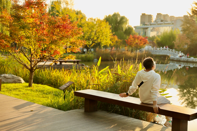 美绝！西安初冬的含金量还在上升！