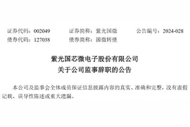 紫光国芯微电子股份有限公司监事陈斌生辞职图片