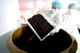 解锁“梅”好经济 余姚杨梅深加工年耗鲜果1600吨图片