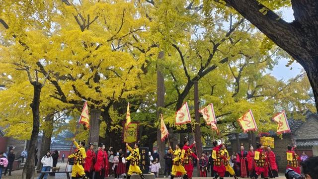 央视报道!就是现在!最佳赏叶期!还有玩法大升级……