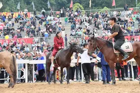 黔南三都：“五一”假期共接待游客26万人次图片