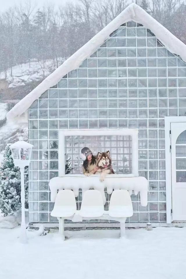 免费申领！白云山冰雪仙境邀您花式玩儿雪！