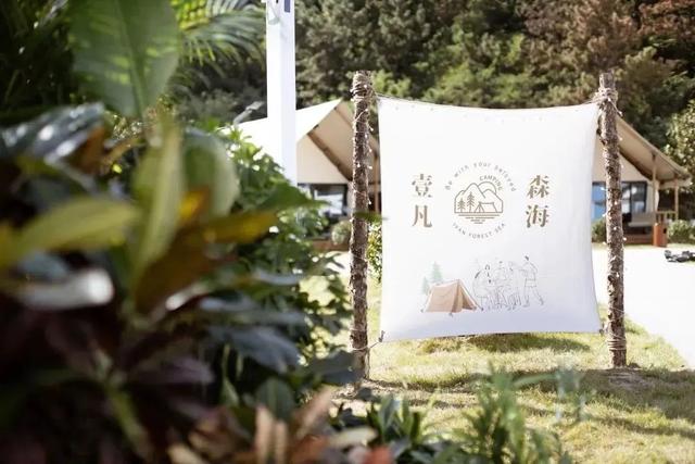 在青岛，一起露营去！