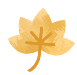 落叶缓扫点位公布！碑林这几片“落叶地毯”等你来打卡