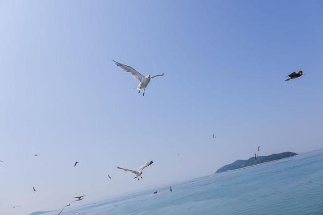“畅游齐鲁 乐GO山东‘镜头里的山东之夏’”宣传推广活动圆满收官