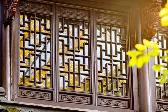 出片率100%！海陵“含金量”在上升！