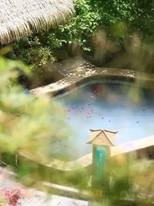 年假清零，总要留几天给洛阳