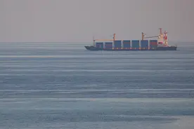 美媒：应对红海航运受阻，各国企业正“艰难适应”，急探新路图片